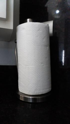 a roll of white toilet paper sitting on a counter at Valle Bonito in Los Mochis