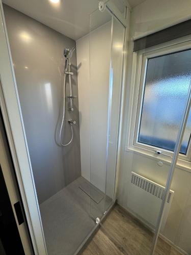 a bathroom with a shower with a glass door at Chalet Flufstaart in Gasselte