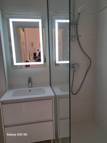 une salle de bain avec un lavabo et un miroir dans l'établissement Terrasse de La Baule - DEUX, à La Baule