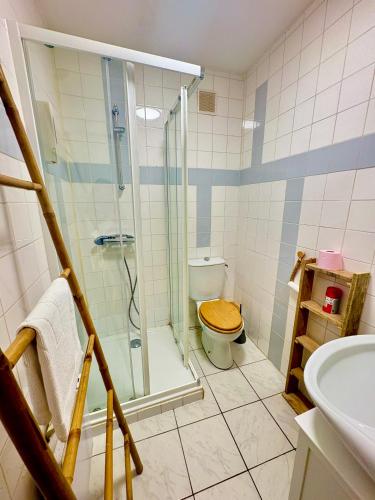 a bathroom with a shower and a toilet and a sink at Agréable t2 calme centre-ville Cahors in Cahors
