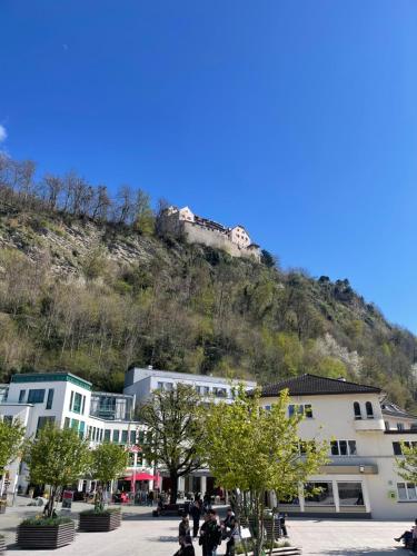a town with a hill in the background with buildings at Die möblierten Apartments in Triesen