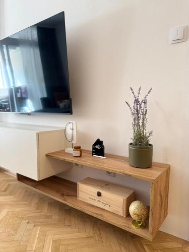 Apartment Ani