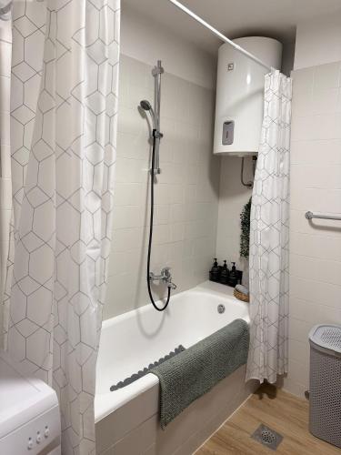 Apartment Ani
