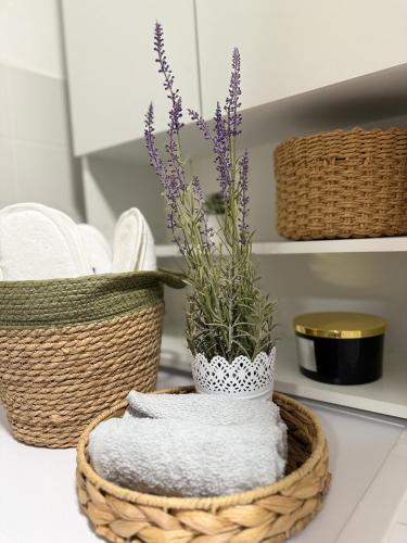 Apartment Ani