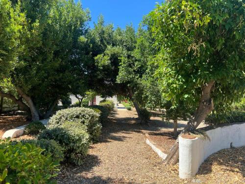 Κήπος έξω από το Casa do Tanque