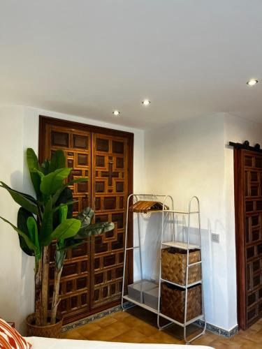 Allegra Suite II