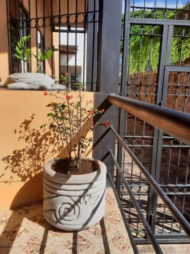 a plant in a pot sitting on a balcony at Nica Valley in Rivas