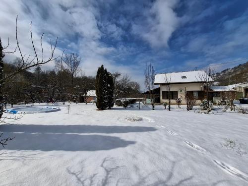 a snow covered yard in front of a house at Vila Petrov in Lukavica