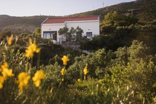 Casa Collina
