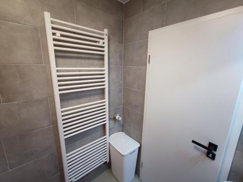 a bathroom with a toilet and a shower stall at Apartment Lieblingsplatz in Hameln