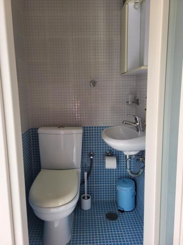 a bathroom with a toilet and a sink at 3BD Villa with breathtaking sea view in Azolimnos
