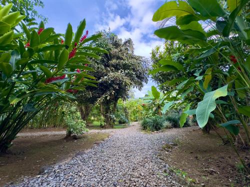 a path through a garden with trees and plants at Bukala Village Lodge in San Ramón