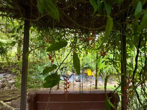 a tree with lots of leaves on a fence at Bukala Village Lodge in San Ramón