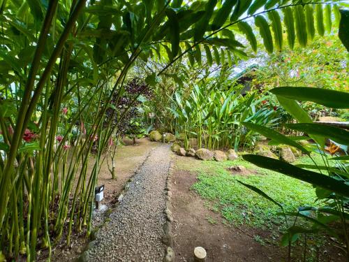 a path in a garden with many plants at Bukala Village Lodge in San Ramón
