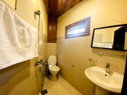 a bathroom with a sink and a toilet and a mirror at The Backpackers' Nest Hunza in Hunza