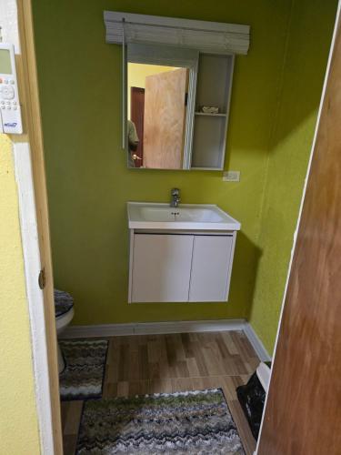 a green bathroom with a sink and a mirror at Hidden Gem One Bed Room Studio in Gilnock Hall