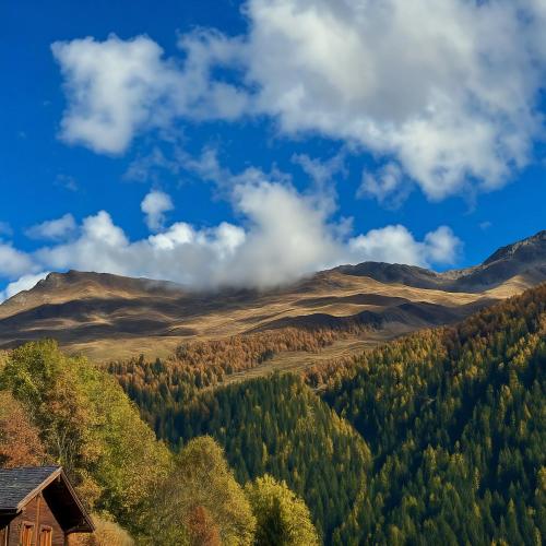 a cabin in the mountains with trees and hills at Les Mayens d'Adrien in Mase