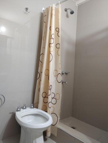 a bathroom with a toilet and a shower curtain at Adrogué Apart B in Adrogue
