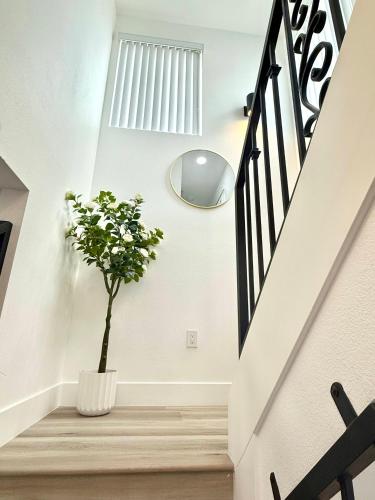 a stairwell with a plant in a white vase at GilmoreOne in Van Nuys
