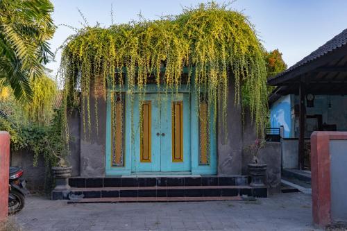 a blue front door of a house with vines at Puri Soka Lembongan by ABM in Nusa Lembongan