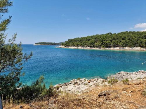 a view of a body of water with trees at Paradise in Pula