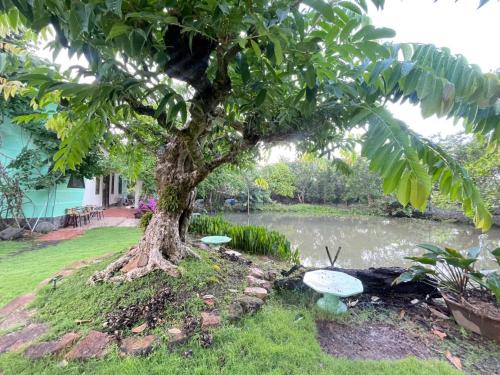 Фотография из галереи Villa THỦY NGUYÊN в городе Bình Thủy