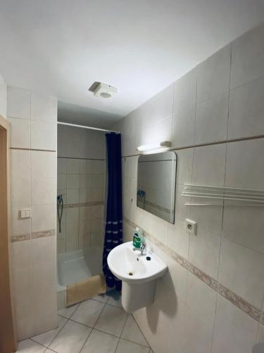 a bathroom with a sink and a bath tub at Dalmo in Sedlec