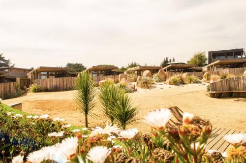 a group of houses in a yard with flowers at Cuarzo Lodge in Pichilemu