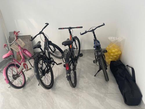 Jízda na kole v ubytování HaLi Home nebo okolí