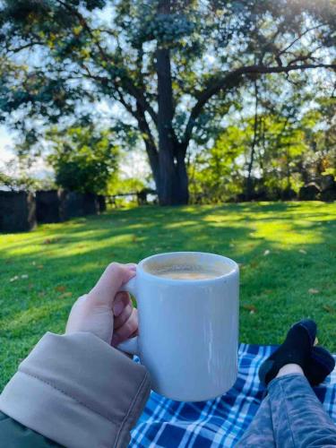 Utensilios para hacer té y café en Country house with unique view on Lake Pátzcuaro