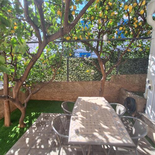 Lemon Garden Apartment