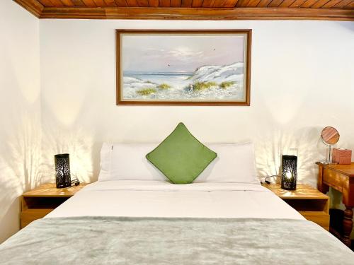 a bedroom with a white bed with a green pillow at Opoho Heritage Guest Suite in Dunedin