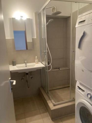 a bathroom with a shower and a sink at RK living room in Darmstadt