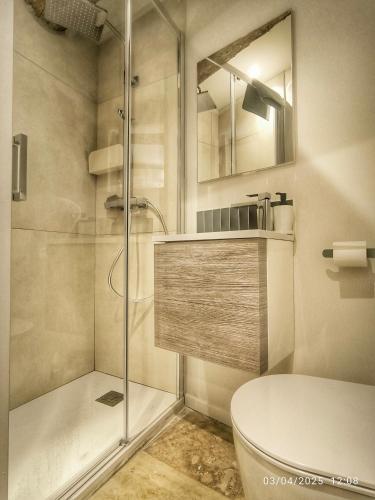 une salle de bain avec douche, toilettes et miroir dans l'établissement Le Solari - Studio lumineux au cœur du centre historique, à Aix-en-Provence