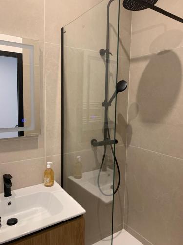 une douche avec une porte vitrée à côté d'un lavabo dans l'établissement Studio au cœur d Aix en Provence, à Aix-en-Provence