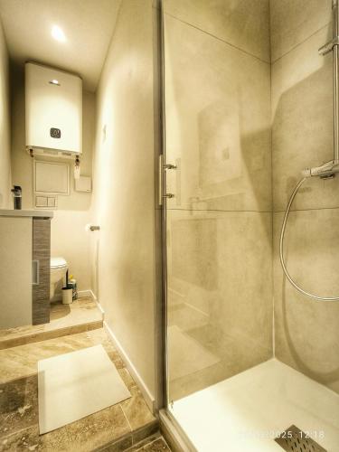 une douche avec une porte vitrée dans une salle de bain dans l'établissement Le Mistral Studio au cœur du centre historique, à Aix-en-Provence