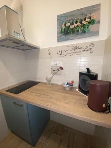 a kitchen counter with a sink and a microwave at Szeged Sunshine Apartman in Szeged