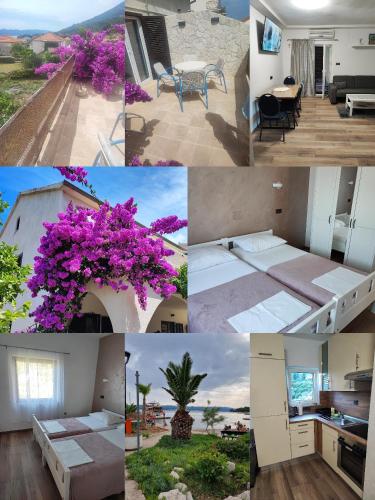 Φωτογραφία από το άλμπουμ του Apartmani Mraz σε Orebić