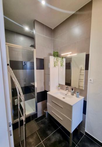 une salle de bain avec un lavabo et un miroir dans l'établissement Appartement 55 m2 avec terrasse, clim, WIFI, Netflix, bureau, à Avignon