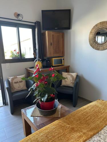 - un salon avec deux chaises et une table avec une plante dans l'établissement La Rose des Vents, à Loix