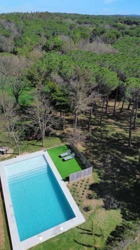 an overhead view of a swimming pool in a field at Can Jan Vives in Vidreres