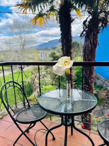 a glass table with a vase with a flower on it at Hotel las Palmeras Suite in Celorio