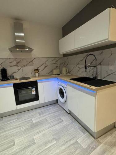 une cuisine avec un évier et une machine à laver dans l'établissement le spacieux appart, à Bourg-en-Bresse