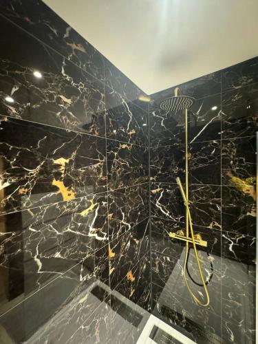 La salle de bains est pourvue d'une douche et d'un mur en marbre noir. dans l'établissement le spacieux appart, à Bourg-en-Bresse
