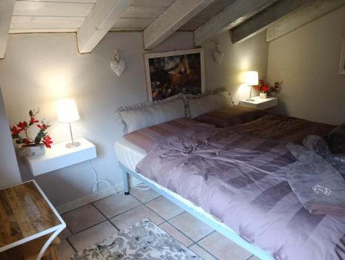 a bedroom with two beds and two lamps on tables at CASA ELISA in Cavaglio San Donnino