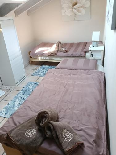 a bedroom with two beds and a dog laying on a bed at CASA ELISA in Cavaglio San Donnino