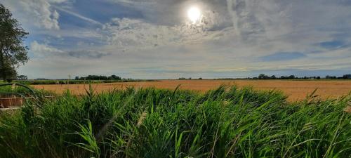 a field of grass with the sun in the sky at Hoeve De Hemel in Zuienkerke