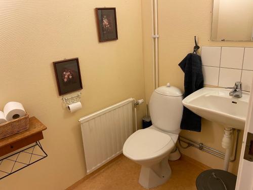 a bathroom with a white toilet and a sink at Sjökaptensgården Bed & Breakfast in Åsljunga