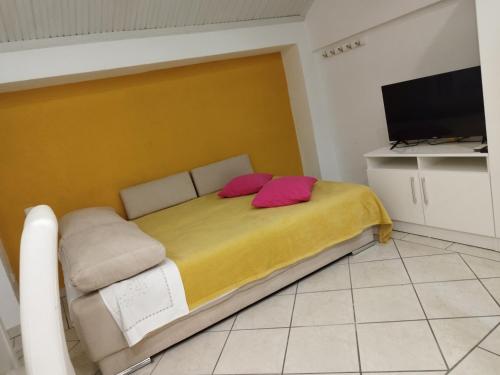 TV a/nebo společenská místnost v ubytování Guesthouse Lion