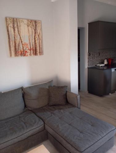 a living room with a couch and a painting on the wall at Zoe's Apartment in Pídima Kyrás